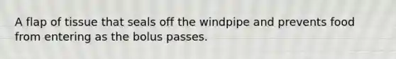 A flap of tissue that seals off the windpipe and prevents food from entering as the bolus passes.