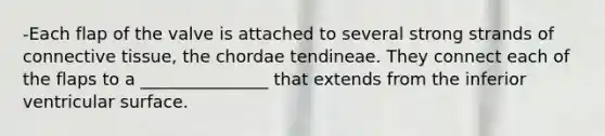 -Each flap of the valve is attached to several strong strands of connective tissue, the chordae tendineae. They connect each of the flaps to a _______________ that extends from the inferior ventricular surface.