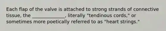 Each flap of the valve is attached to strong strands of <a href='https://www.questionai.com/knowledge/kYDr0DHyc8-connective-tissue' class='anchor-knowledge'>connective tissue</a>, the ______________, literally "tendinous cords," or sometimes more poetically referred to as "heart strings."