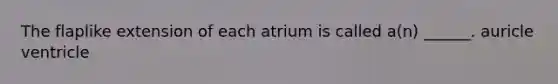 The flaplike extension of each atrium is called a(n) ______. auricle ventricle