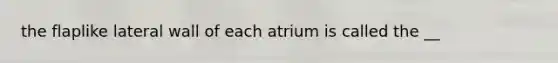 the flaplike lateral wall of each atrium is called the __