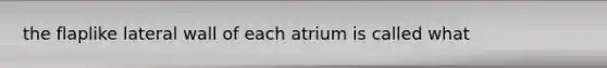 the flaplike lateral wall of each atrium is called what