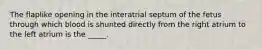 The flaplike opening in the interatrial septum of the fetus through which blood is shunted directly from the right atrium to the left atrium is the _____.