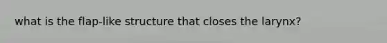 what is the flap-like structure that closes the larynx?