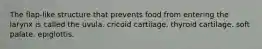 The flap-like structure that prevents food from entering the larynx is called the uvula. cricoid cartilage. thyroid cartilage. soft palate. epiglottis.