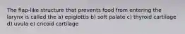 The flap-like structure that prevents food from entering the larynx is called the a) epiglottis b) soft palate c) thyroid cartilage d) uvula e) cricoid cartilage