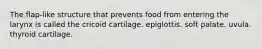 The flap-like structure that prevents food from entering the larynx is called the cricoid cartilage. epiglottis. soft palate. uvula. thyroid cartilage.