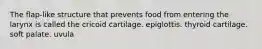 The flap-like structure that prevents food from entering the larynx is called the cricoid cartilage. epiglottis. thyroid cartilage. soft palate. uvula