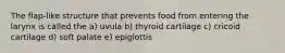 The flap-like structure that prevents food from entering the larynx is called the a) uvula b) thyroid cartilage c) cricoid cartilage d) soft palate e) epiglottis