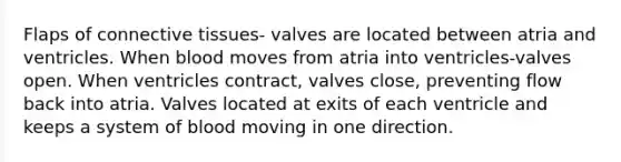 Flaps of connective tissues- valves are located between atria and ventricles. When blood moves from atria into ventricles-valves open. When ventricles contract, valves close, preventing flow back into atria. Valves located at exits of each ventricle and keeps a system of blood moving in one direction.