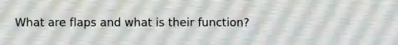 What are flaps and what is their function?