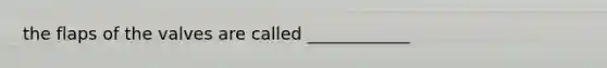 the flaps of the valves are called ____________