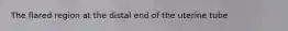 The flared region at the distal end of the uterine tube