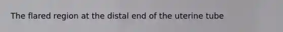 The flared region at the distal end of the uterine tube