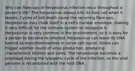 Why can flare-ups of herpesvirus infection recur throughout a person's life? The herpesvirus always kills its host cell when it leaves. Cycles of cell death cause the recurring flare-ups. Herpesvirus may cloak itself in a cell's nuclear envelope, making it very difficult for the immune system to recognize it. Herpesvirus is very common in the environment, so it is easy for a person to become re-infected. Herpesvirus can leave its DNA behind as minichromosomes in nerve cell nuclei. Stress can trigger another round of virus production, producing characteristic blisters and sores. The herpesvirus becomes a prophage during the lysogenic cycle of the infection, so the viral genome is recombined with the host DNA.