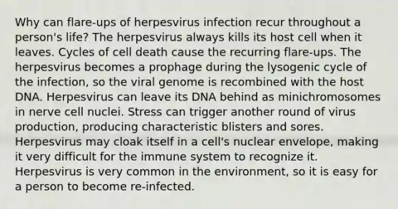 Why can flare-ups of herpesvirus infection recur throughout a person's life? The herpesvirus always kills its host cell when it leaves. Cycles of cell death cause the recurring flare-ups. The herpesvirus becomes a prophage during the lysogenic cycle of the infection, so the viral genome is recombined with the host DNA. Herpesvirus can leave its DNA behind as minichromosomes in nerve cell nuclei. Stress can trigger another round of virus production, producing characteristic blisters and sores. Herpesvirus may cloak itself in a cell's nuclear envelope, making it very difficult for the immune system to recognize it. Herpesvirus is very common in the environment, so it is easy for a person to become re-infected.