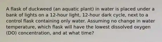 A flask of duckweed (an aquatic plant) in water is placed under a bank of lights on a 12-hour light, 12-hour dark cycle, next to a control flask containing only water. Assuming no change in water temperature, which flask will have the lowest dissolved oxygen (DO) concentration, and at what time?