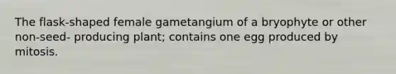 The flask-shaped female gametangium of a bryophyte or other non-seed- producing plant; contains one egg produced by mitosis.