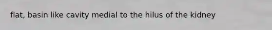 flat, basin like cavity medial to the hilus of the kidney