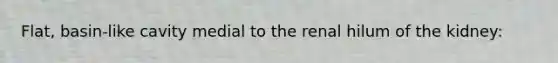Flat, basin-like cavity medial to the renal hilum of the kidney:
