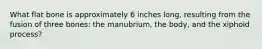 What flat bone is approximately 6 inches long, resulting from the fusion of three bones: the manubrium, the body, and the xiphoid process?