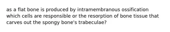 as a flat bone is produced by intramembranous ossification which cells are responsible or the resorption of bone tissue that carves out the spongy bone's trabeculae?