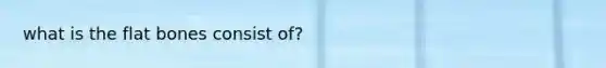 what is the flat bones consist of?