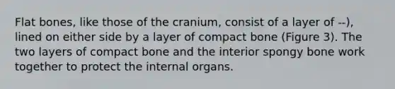 Flat bones, like those of the cranium, consist of a layer of --), lined on either side by a layer of compact bone (Figure 3). The two layers of compact bone and the interior spongy bone work together to protect the internal organs.