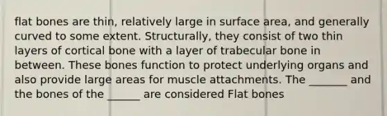 flat bones are thin, relatively large in surface area, and generally curved to some extent. Structurally, they consist of two thin layers of cortical bone with a layer of trabecular bone in between. These bones function to protect underlying organs and also provide large areas for muscle attachments. The _______ and the bones of the ______ are considered Flat bones