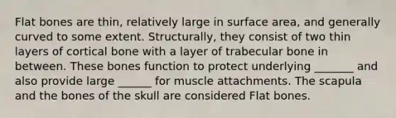 Flat bones are thin, relatively large in surface area, and generally curved to some extent. Structurally, they consist of two thin layers of cortical bone with a layer of trabecular bone in between. These bones function to protect underlying _______ and also provide large ______ for muscle attachments. The scapula and the bones of the skull are considered Flat bones.