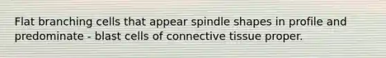 Flat branching cells that appear spindle shapes in profile and predominate - blast cells of connective tissue proper.