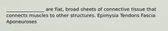 ________________ are flat, broad sheets of <a href='https://www.questionai.com/knowledge/kYDr0DHyc8-connective-tissue' class='anchor-knowledge'>connective tissue</a> that connects muscles to other structures. Epimysia Tendons Fascia Aponeuroses