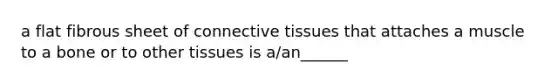 a flat fibrous sheet of <a href='https://www.questionai.com/knowledge/kYDr0DHyc8-connective-tissue' class='anchor-knowledge'>connective tissue</a>s that attaches a muscle to a bone or to other tissues is a/an______