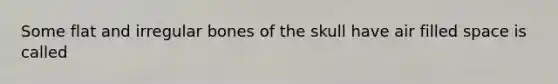 Some flat and irregular bones of the skull have air filled space is called