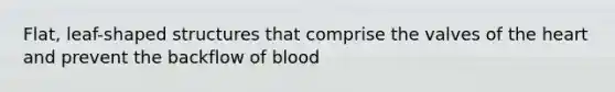 Flat, leaf-shaped structures that comprise the valves of the heart and prevent the backflow of blood