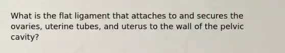 What is the flat ligament that attaches to and secures the ovaries, uterine tubes, and uterus to the wall of the pelvic cavity?