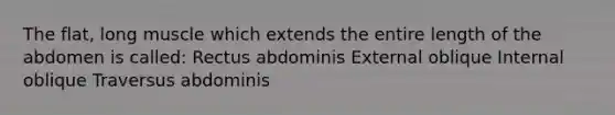 The flat, long muscle which extends the entire length of the abdomen is called: Rectus abdominis External oblique Internal oblique Traversus abdominis