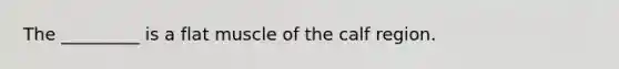 The _________ is a flat muscle of the calf region.