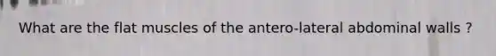 What are the flat muscles of the antero-lateral abdominal walls ?