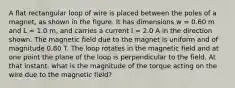 A flat rectangular loop of wire is placed between the poles of a magnet, as shown in the figure. It has dimensions w = 0.60 m and L = 1.0 m, and carries a current I = 2.0 A in the direction shown. The magnetic field due to the magnet is uniform and of magnitude 0.80 T. The loop rotates in the magnetic field and at one point the plane of the loop is perpendicular to the field. At that instant, what is the magnitude of the torque acting on the wire due to the magnetic field?