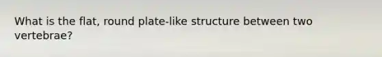 What is the flat, round plate-like structure between two vertebrae?