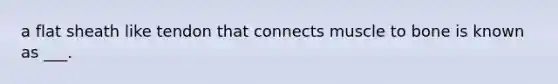 a flat sheath like tendon that connects muscle to bone is known as ___.