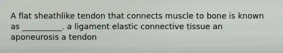 A flat sheathlike tendon that connects muscle to bone is known as __________. a ligament elastic connective tissue an aponeurosis a tendon