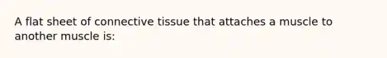 A flat sheet of <a href='https://www.questionai.com/knowledge/kYDr0DHyc8-connective-tissue' class='anchor-knowledge'>connective tissue</a> that attaches a muscle to another muscle is: