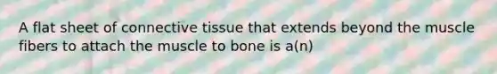 A flat sheet of connective tissue that extends beyond the muscle fibers to attach the muscle to bone is a(n)