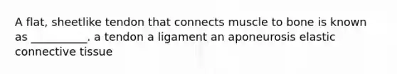 A flat, sheetlike tendon that connects muscle to bone is known as __________. a tendon a ligament an aponeurosis elastic connective tissue