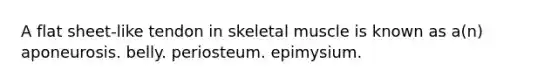 A flat sheet-like tendon in skeletal muscle is known as a(n) aponeurosis. belly. periosteum. epimysium.