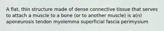 A flat, thin structure made of dense connective tissue that serves to attach a muscle to a bone (or to another muscle) is a(n) aponeurosis tendon myolemma superficial fascia perimysium