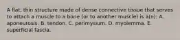 A flat, thin structure made of dense connective tissue that serves to attach a muscle to a bone (or to another muscle) is a(n): A. aponeurosis. B. tendon. C. perimysium. D. myolemma. E. superficial fascia.