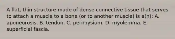 A flat, thin structure made of dense connective tissue that serves to attach a muscle to a bone (or to another muscle) is a(n): A. aponeurosis. B. tendon. C. perimysium. D. myolemma. E. superficial fascia.